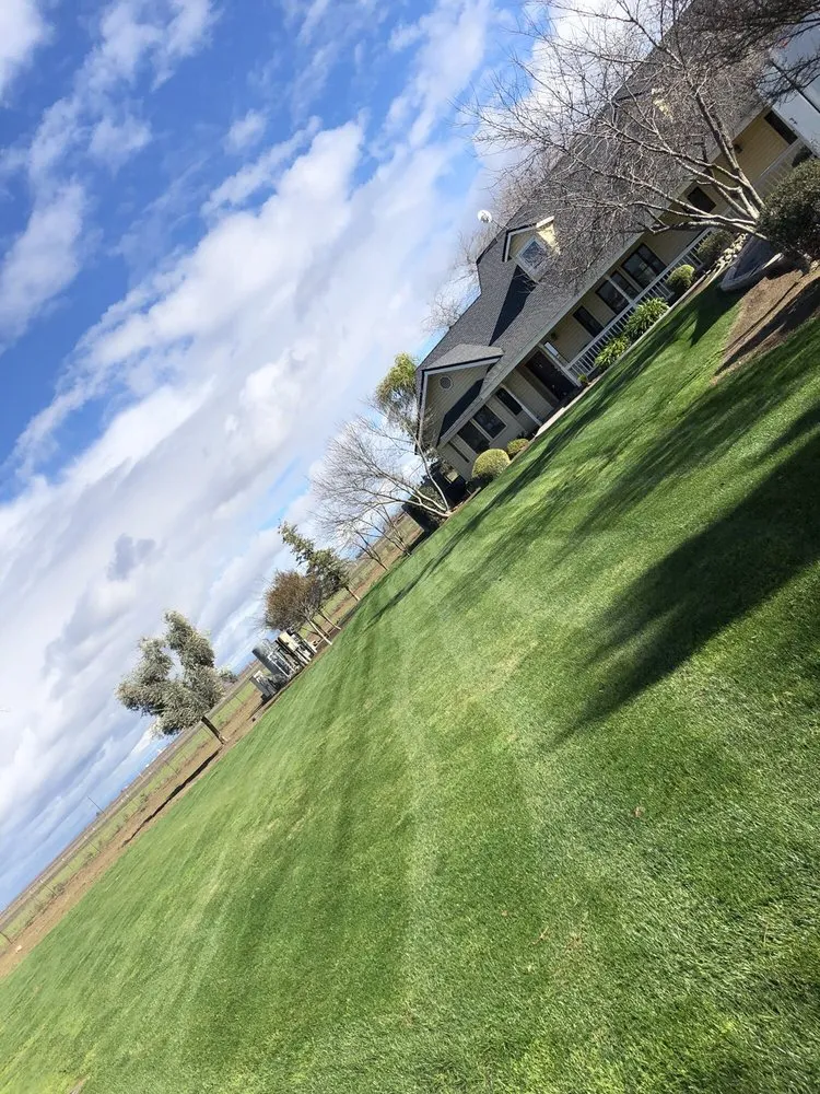 Professional residential landscaping in Caruthers, CA by Sanchez yard maintenance