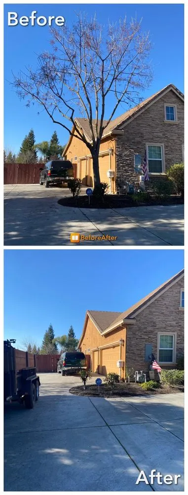 Affordable landscape installation for beautiful yards in Le Grand, CA by Sanchez Yard service