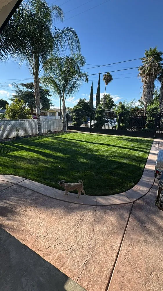Reliable lawn mowing service in Modesto, CA - Sanchez yard service