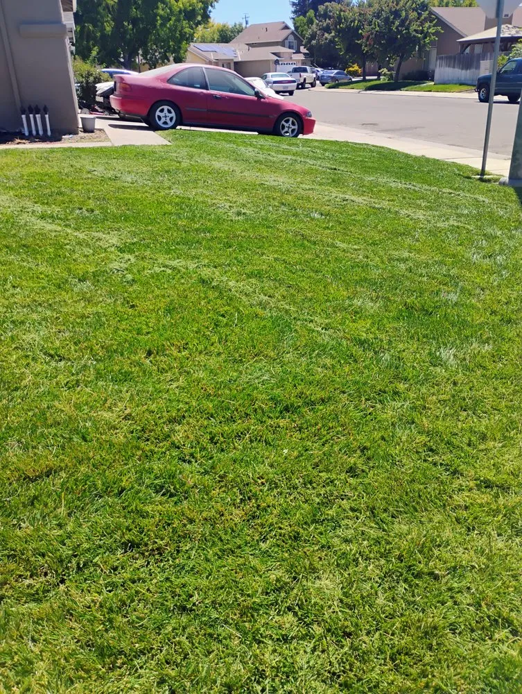 Local lawn mowing service experts serving Modesto, CA - Sanchez yard service