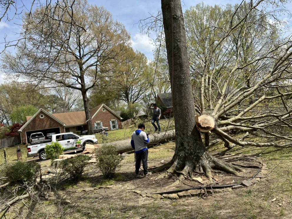 Expert lawn mowing service in Memphis, TN - Sanchez Z Landscaping