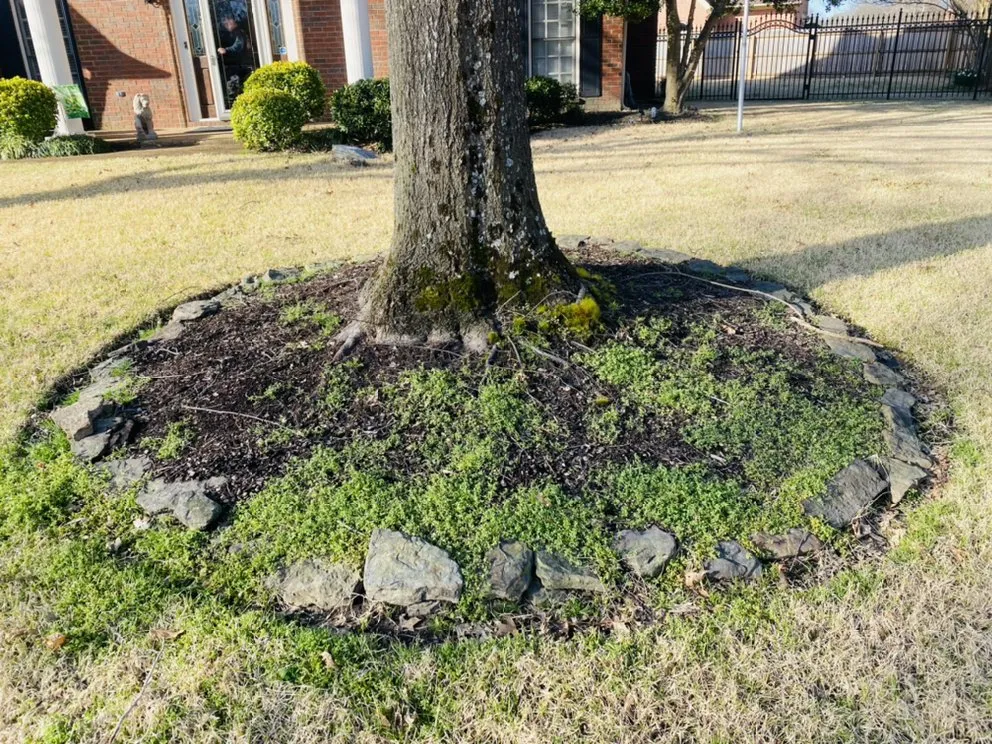 Custom landscape installation in Memphis, TN - Sanchez Z Landscaping