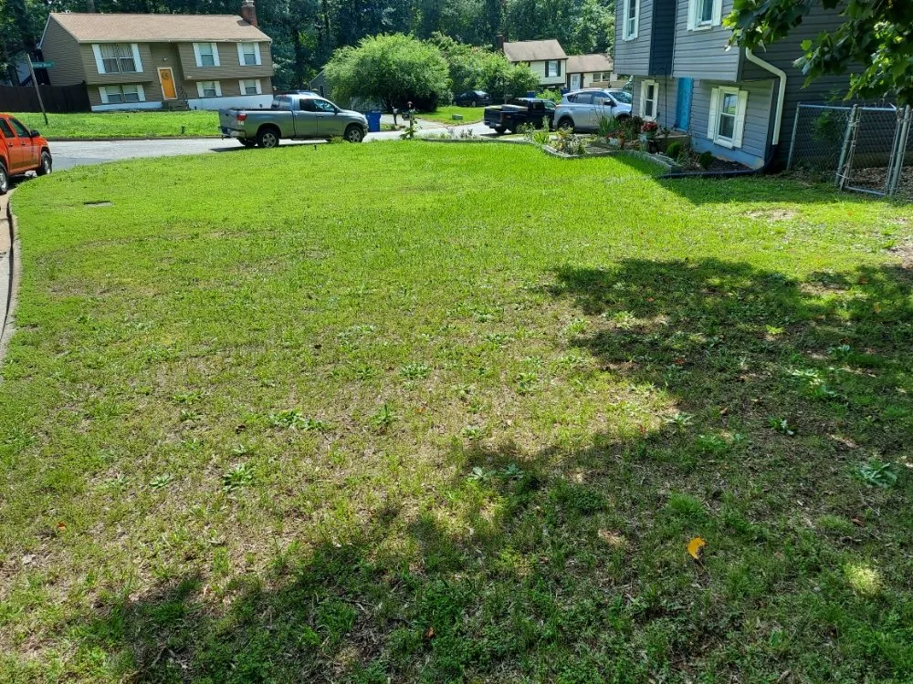 Professional residential landscaping in Richmond, VA by Sanchez's General Services