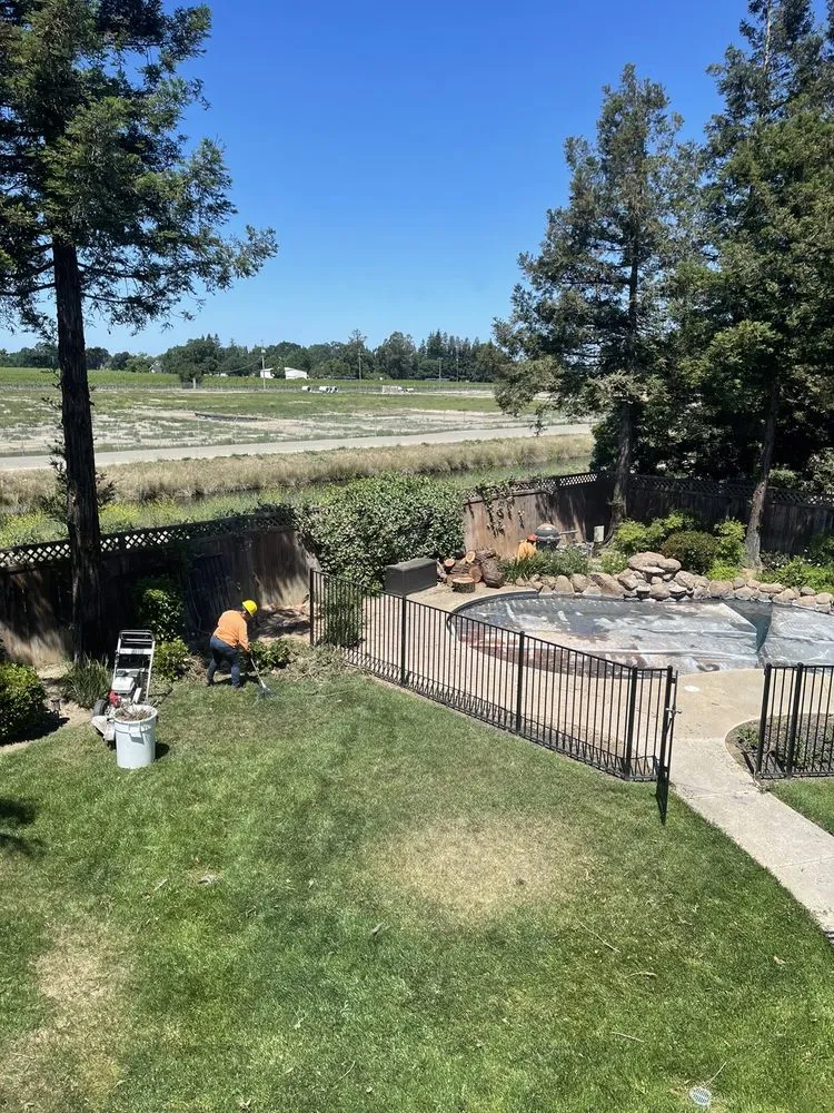 Local outdoor landscaping near you across Manteca, CA - Sanchez's Tree Services