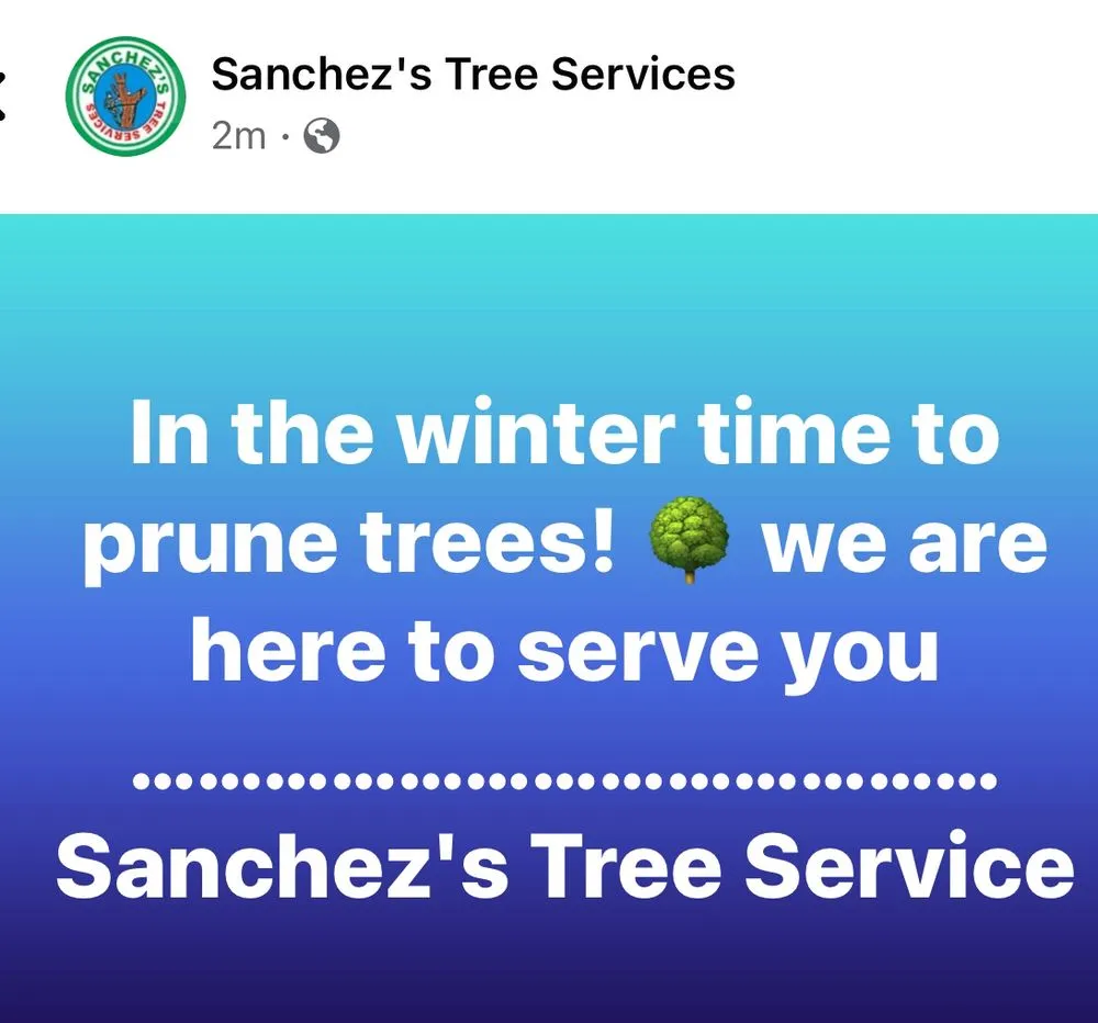 Expert landscape design in Manteca, CA - Sanchez's Tree Services