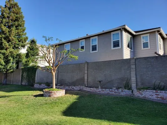 Sanchez's Tree Services Logo