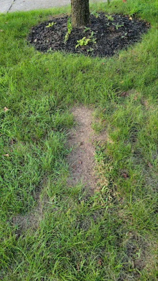 Local residential landscaping for outdoor upgrades in Reading, PA by Sanci’s Landscaping