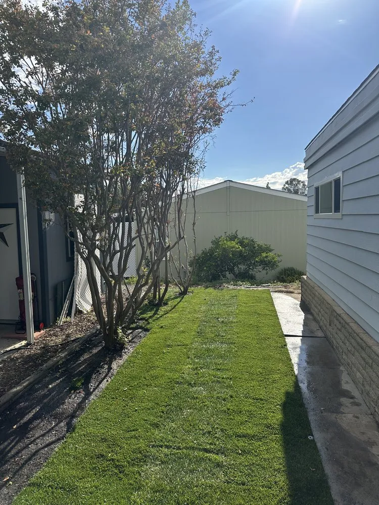 Affordable landscape design in Santa Ana, CA - Sanctuary Design & Build