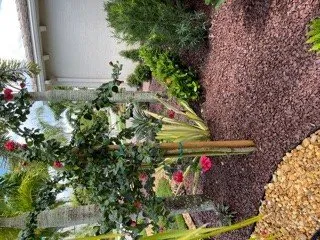 Professional outdoor landscaping in Loxahatchee, FL by Sanctuary Gardens