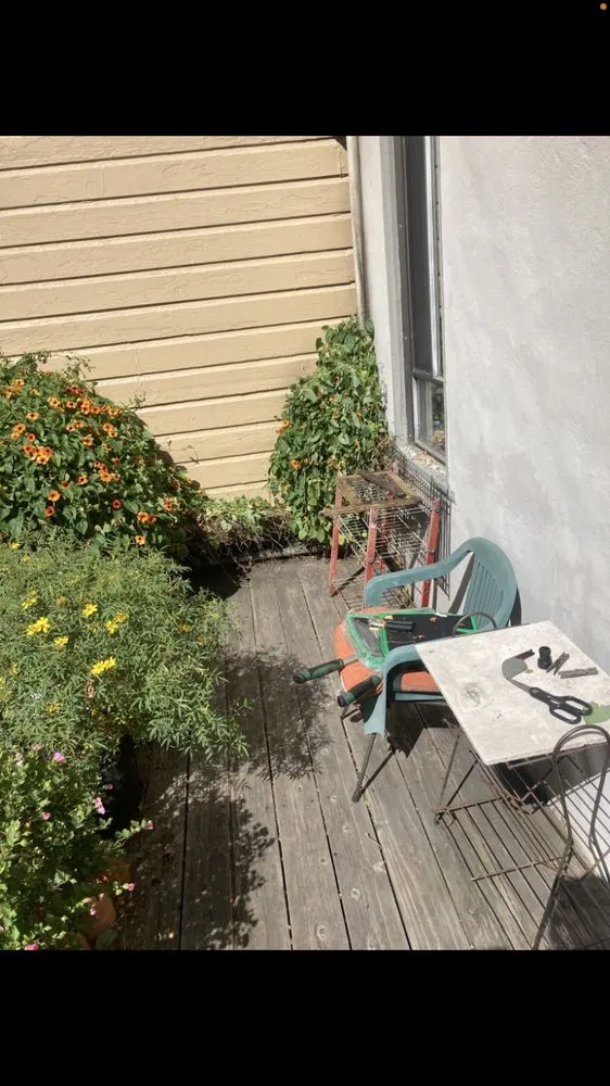 Trusted residential landscaping in San Anselmo, CA by Sanctuary Yard Cleaning Plant Removal And Installation