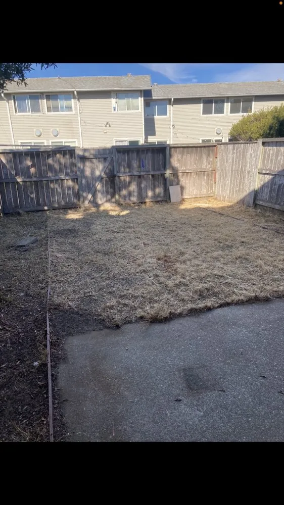 Professional lawn care service in San Anselmo, CA - Sanctuary Yard Cleaning Plant Removal And Installation