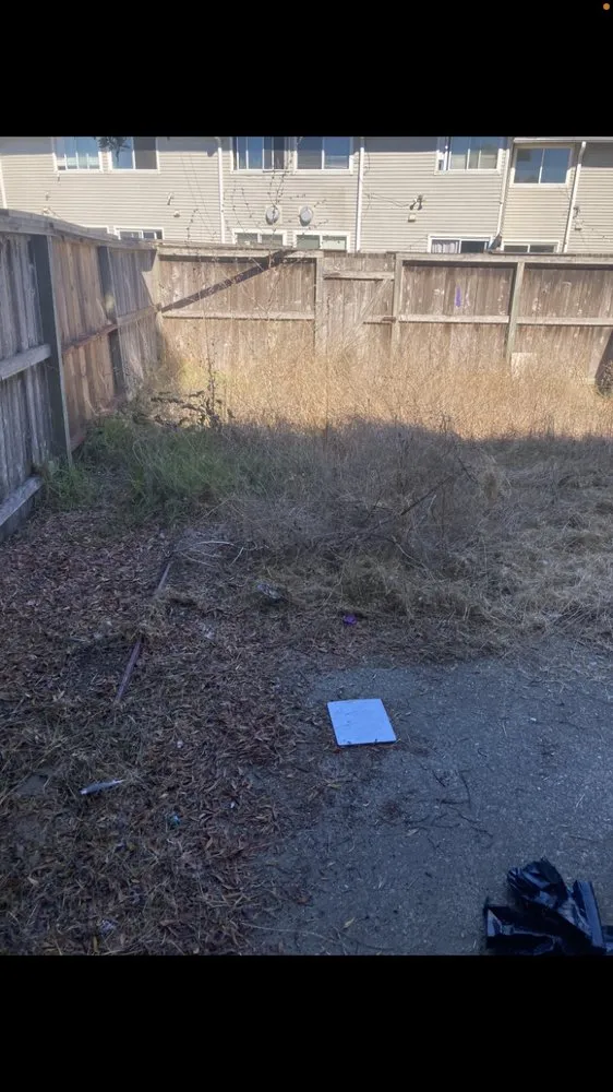 Top-rated yard cleanup service in San Anselmo, CA by Sanctuary Yard Cleaning Plant Removal And Installation