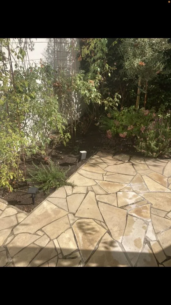 Expert garden landscaping for residential properties across San Anselmo, CA - Sanctuary Yard Cleaning Plant Removal And Installation