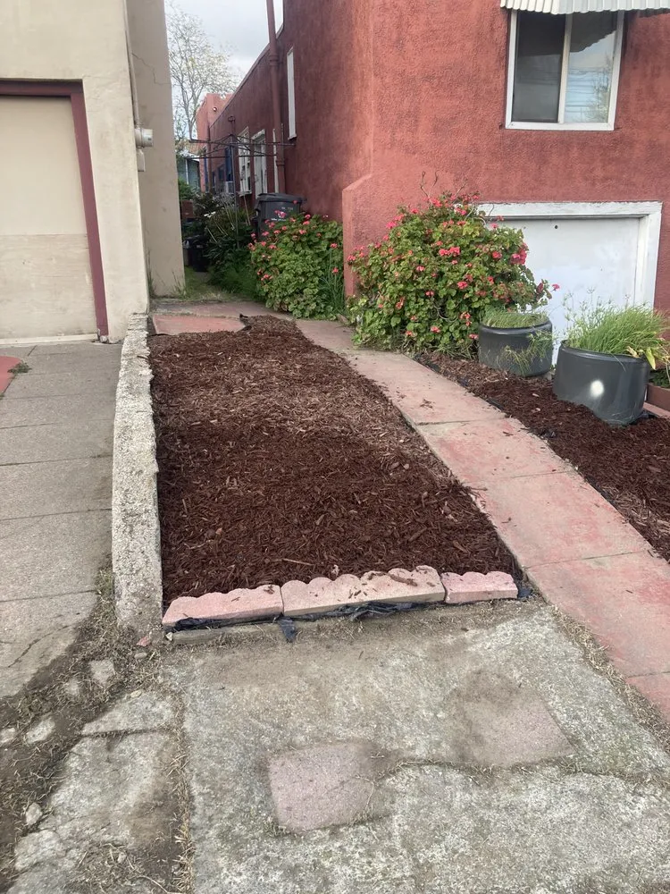 Reliable yard cleanup service in San Anselmo, CA - Sanctuary Yard Cleaning Plant Removal And Installation