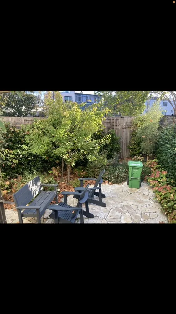 Affordable landscaping services experts serving San Anselmo, CA - Sanctuary Yard Cleaning Plant Removal And Installation