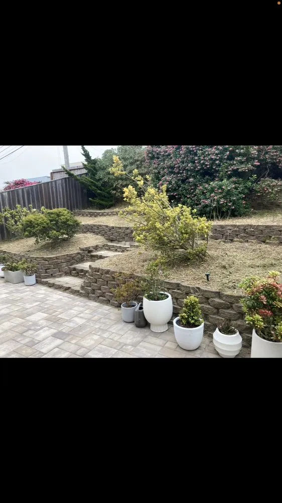 Affordable garden landscaping in San Anselmo, CA - Sanctuary Yard Cleaning Plant Removal And Installation