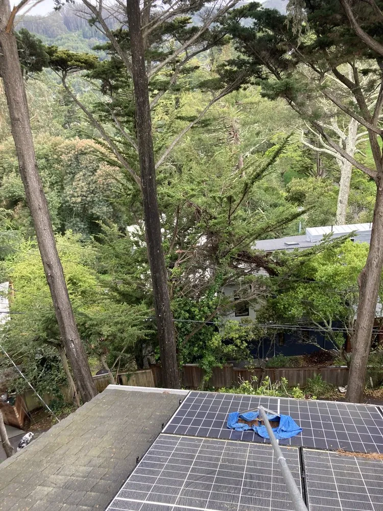 Reliable landscape installation for beautiful yards in San Anselmo, CA by Sanctuary Yard Cleaning Plant Removal And Installation