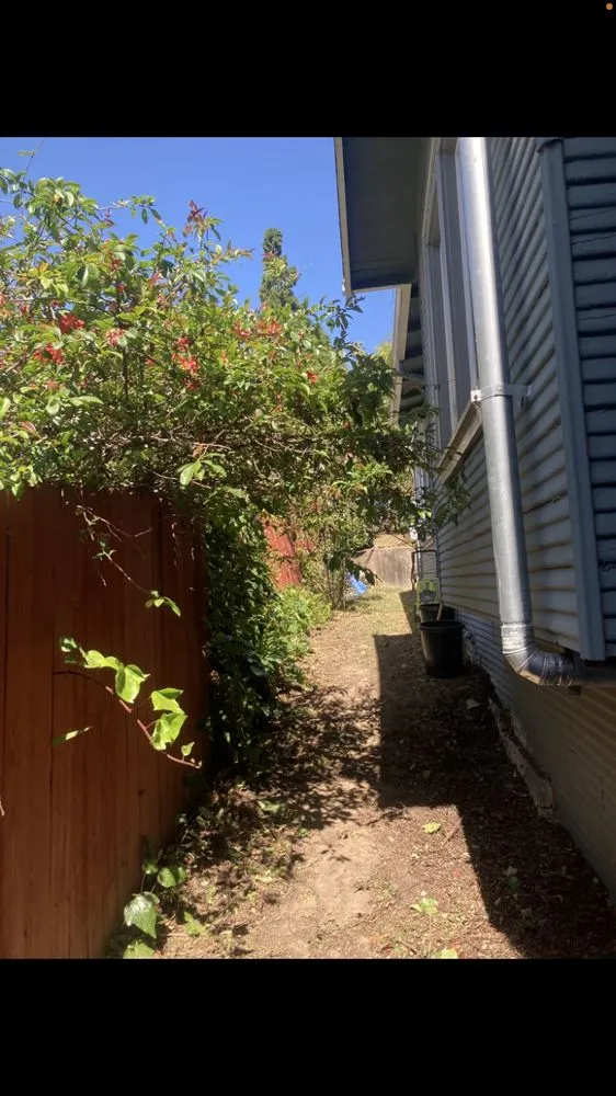 Custom yard maintenance in San Anselmo, CA - Sanctuary Yard Cleaning Plant Removal And Installation