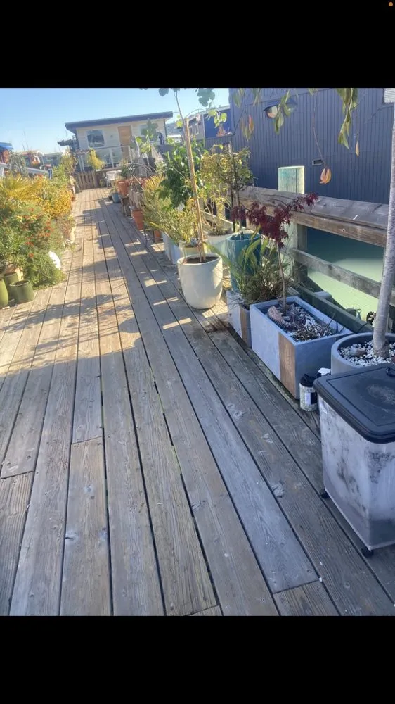 Top-rated landscape installation experts serving San Anselmo, CA - Sanctuary Yard Cleaning Plant Removal And Installation