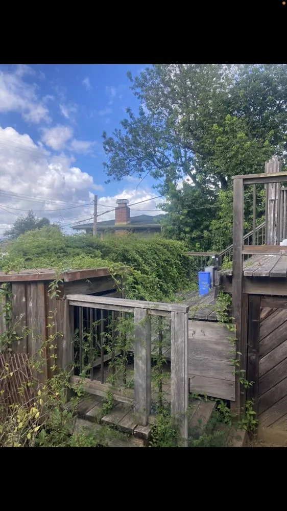 Affordable garden landscaping experts serving San Anselmo, CA - Sanctuary Yard Cleaning Plant Removal And Installation