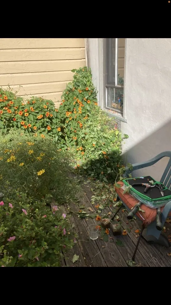 Custom lawn mowing service with custom design in San Anselmo, CA by Sanctuary Yard Cleaning Plant Removal And Installation