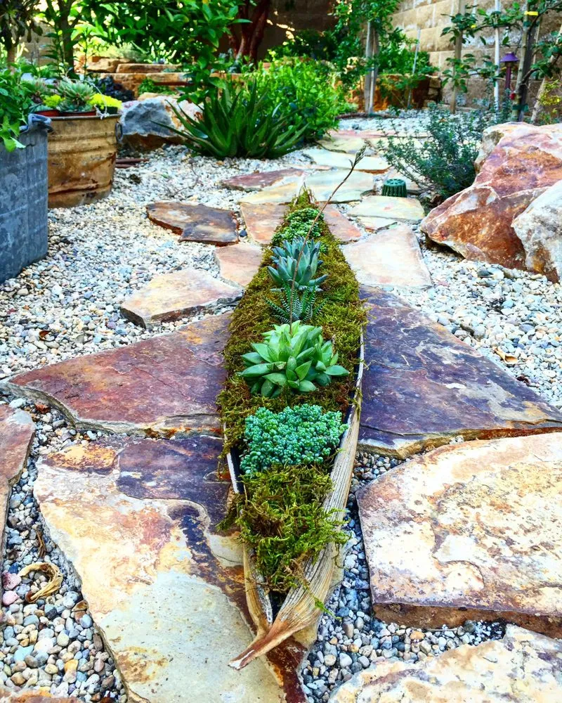 Professional yard maintenance experts serving Carlsbad, CA - Sand and Soleil Landscape