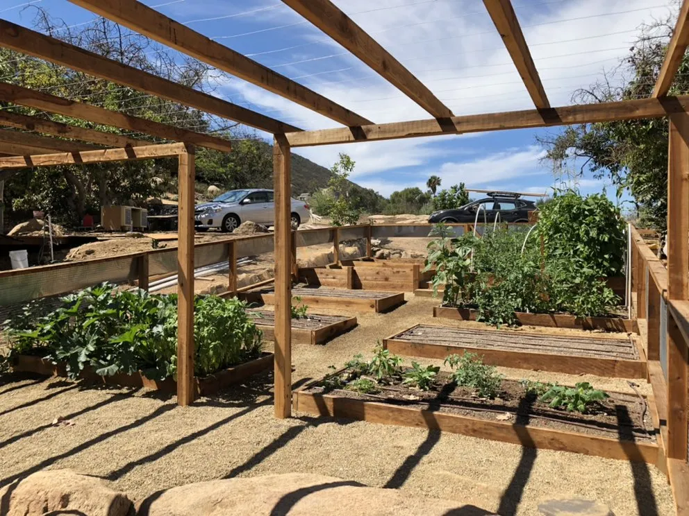 Affordable lawn care service with custom design across Carlsbad, CA - Sand and Soleil Landscape