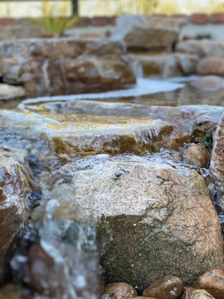 Custom landscape design for residential properties in Carlsbad, CA by Sand and Soleil Landscape