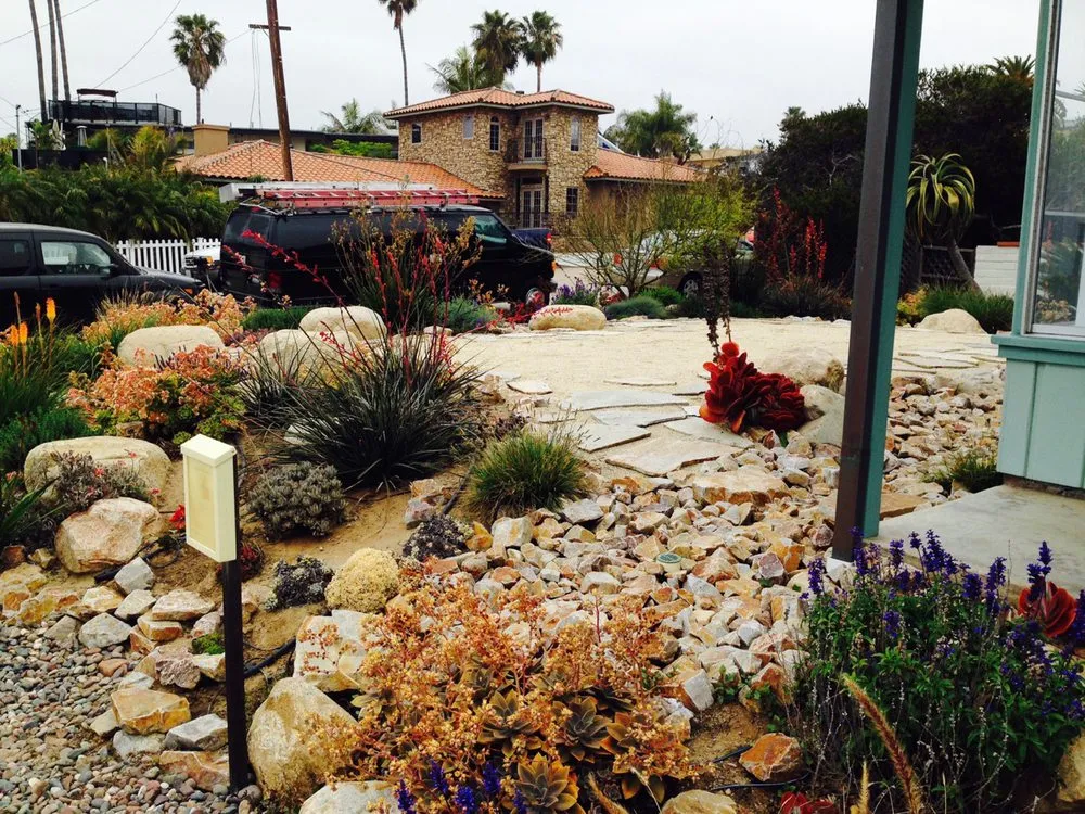 Professional yard cleanup service near you in Carlsbad, CA by Sand and Soleil Landscape
