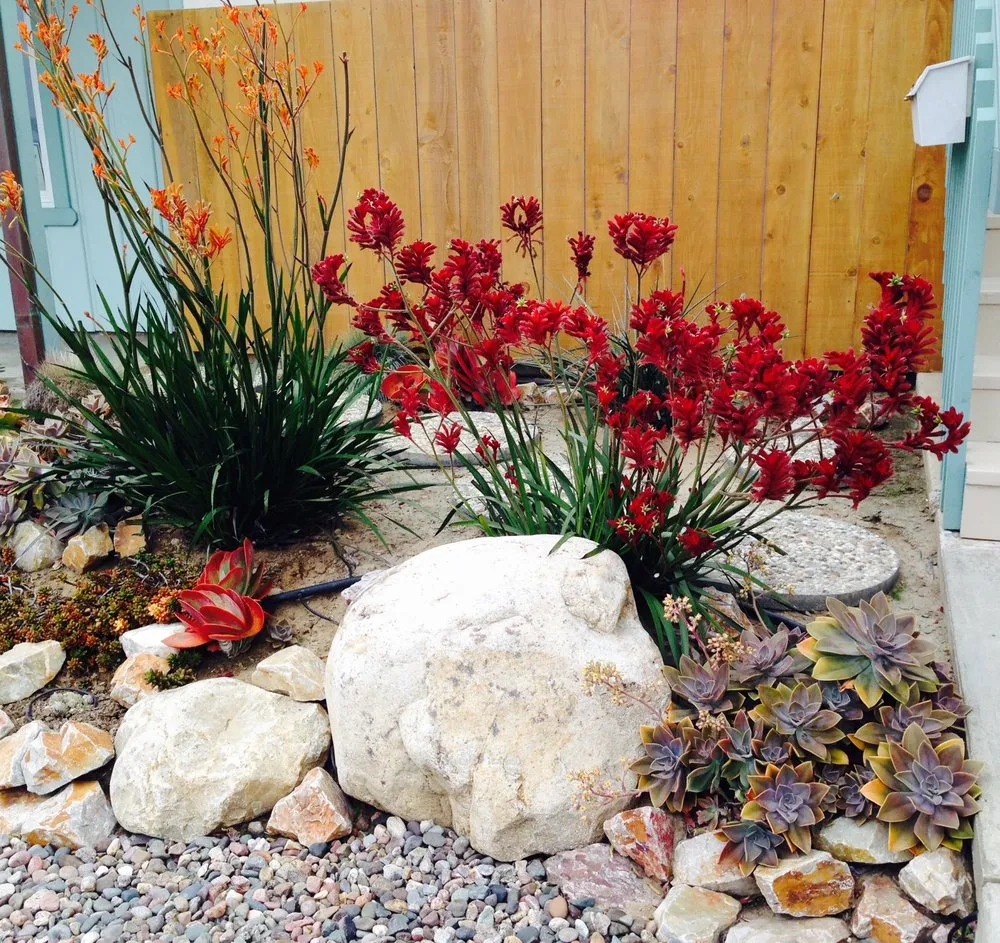 Affordable yard maintenance experts serving Carlsbad, CA - Sand and Soleil Landscape