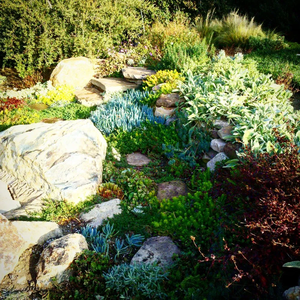 Trusted yard maintenance for residential properties in Carlsbad, CA by Sand and Soleil Landscape