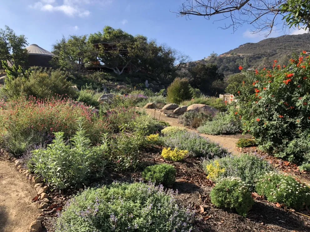 Professional garden landscaping in Carlsbad, CA by Sand and Soleil Landscape