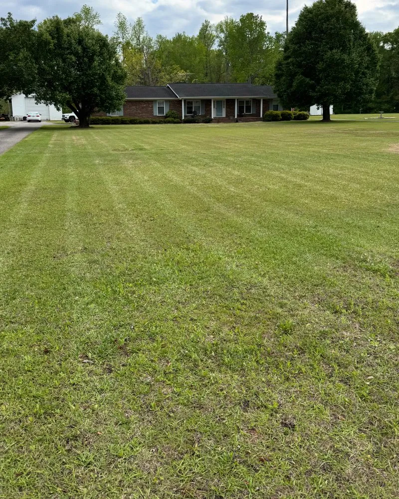 Expert landscape design in Little River, SC by Sand Bar Landscaping