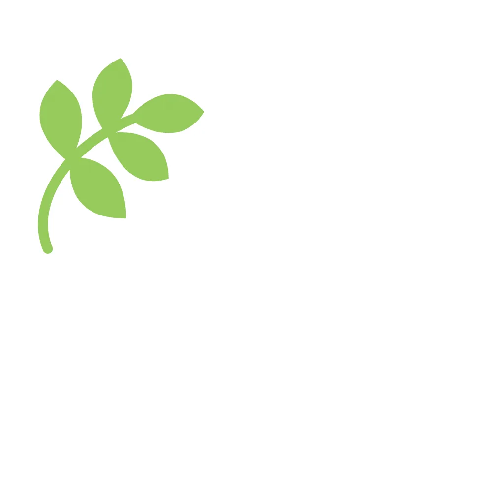 Trusted yard maintenance with custom design across Roseville, MI - Sand River Landscaping