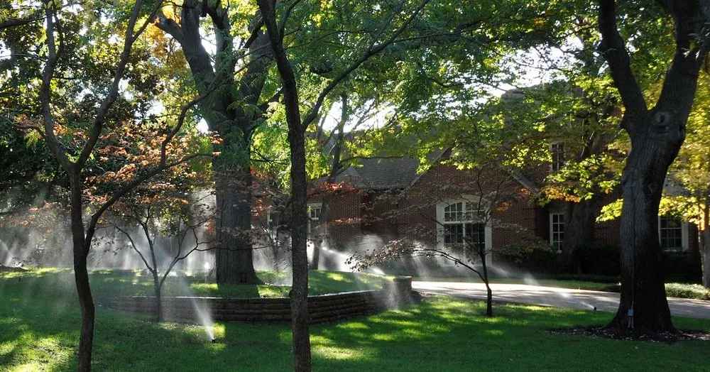 Custom yard cleanup service for year-round maintenance across Pampa, TX - Sandburr Irrigation & Landscaping