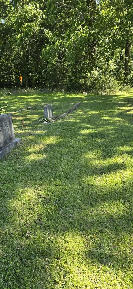 Expert lawn care service for homes in Powdersville, SC by Sanders & Sanders Lawn Care