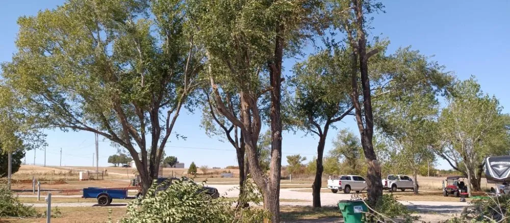 Expert residential landscaping experts serving CHICKASHA, OK - Sanders & Sons