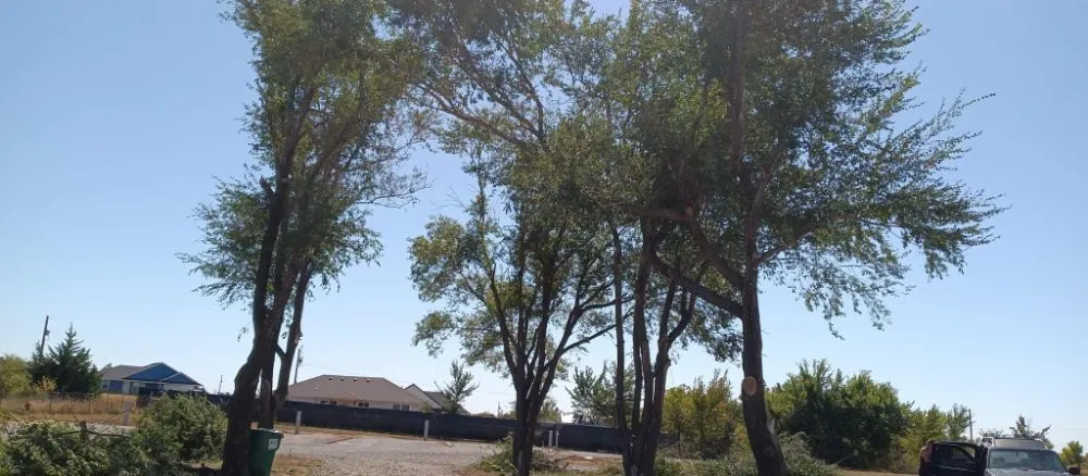 Local lawn mowing service in CHICKASHA, OK by Sanders & Sons