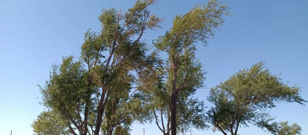 Expert landscape design experts serving CHICKASHA, OK - Sanders & Sons