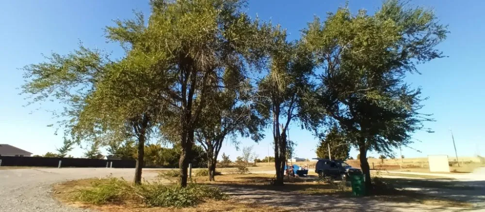 Local landscaping services in CHICKASHA, OK - Sanders & Sons