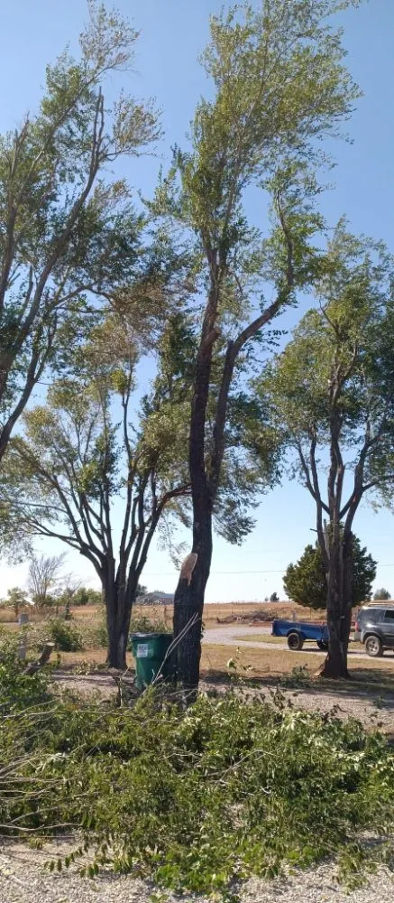 Top-rated landscape installation in CHICKASHA, OK - Sanders & Sons