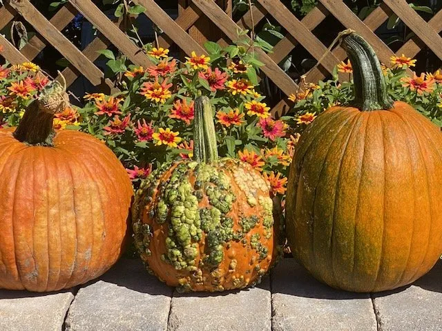 Custom landscape installation experts serving Iowa City, IA - Sanders Creek Company