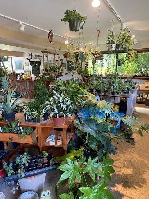 Top-rated landscape installation in Iowa City, IA - Sanders Creek Company