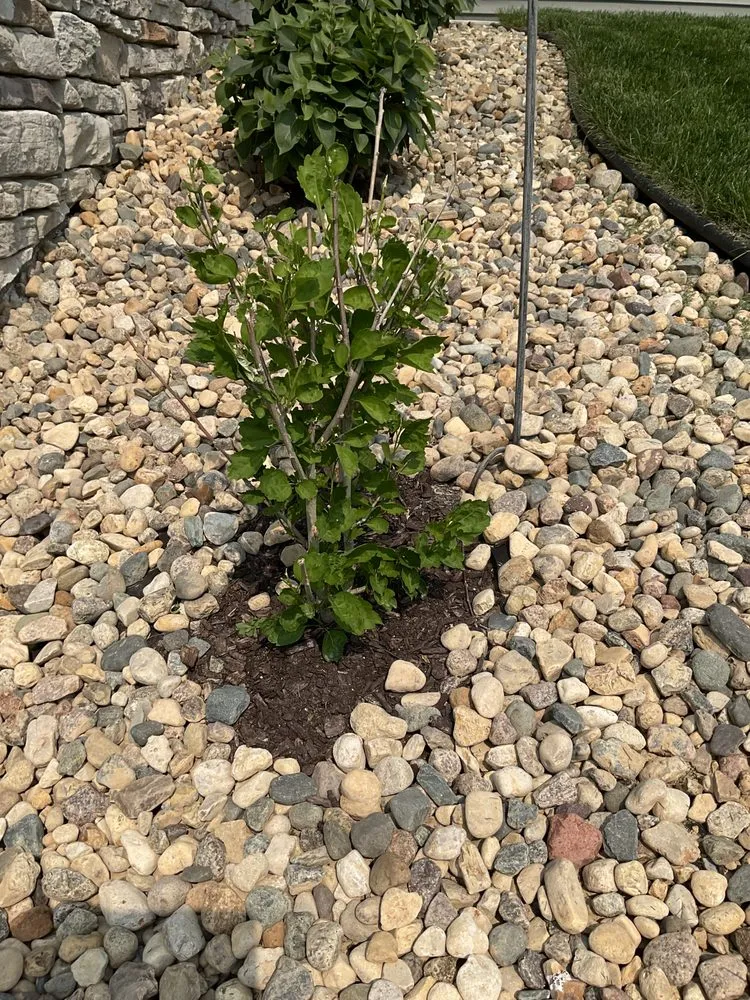 Expert yard maintenance in Iowa City, IA - Sanders Creek Company