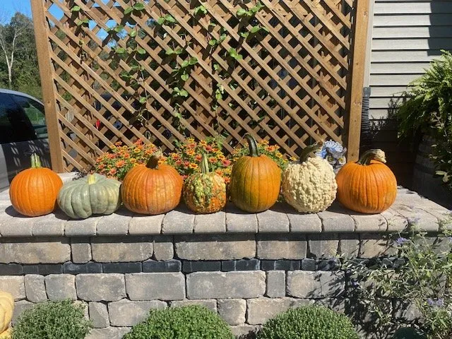 Trusted landscape design in Iowa City, IA by Sanders Creek Company