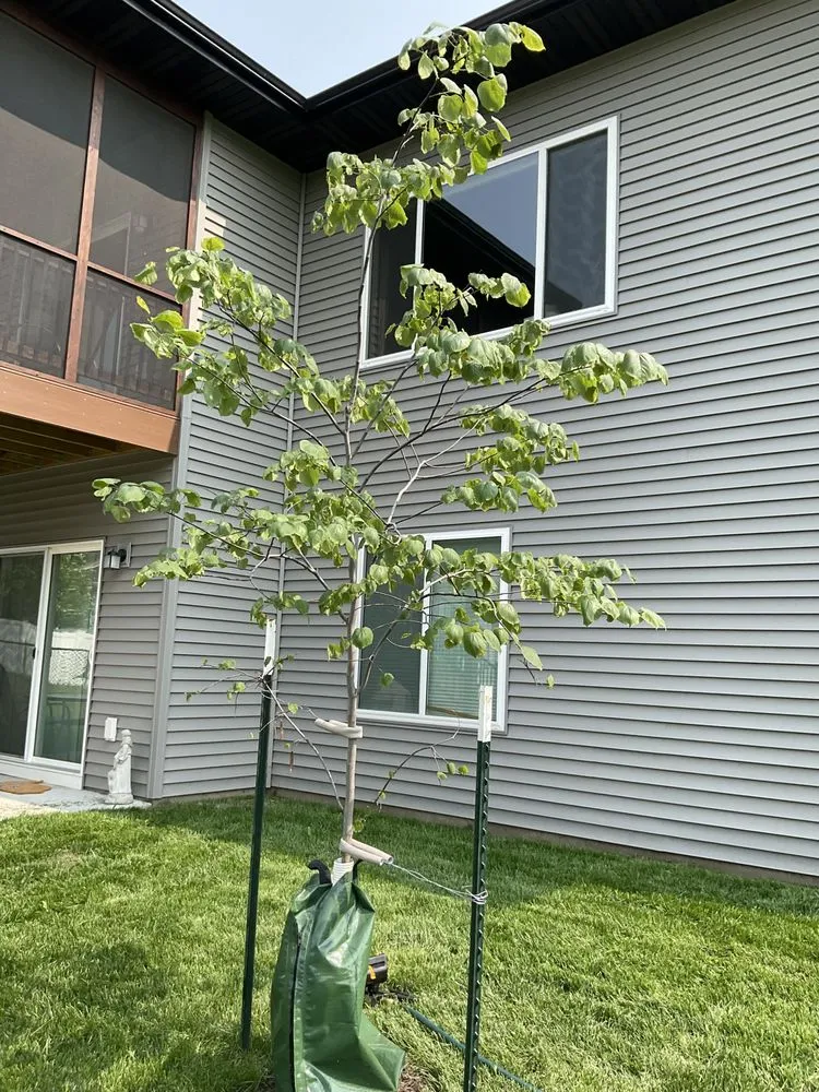 Top-rated residential landscaping for homes in Iowa City, IA by Sanders Creek Company