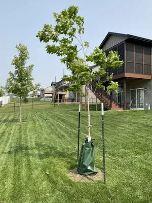 Sanders Creek Company