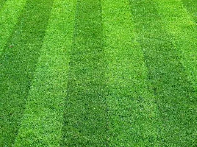 Affordable landscaping services in Montgomery, AL by Sanders Elite lawn service