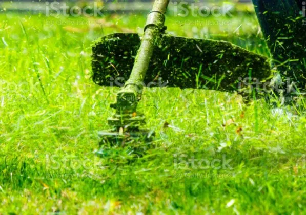 Top-rated yard maintenance for year-round maintenance across Montgomery, AL - Sanders Elite lawn service