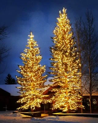 Sanders Land & Light